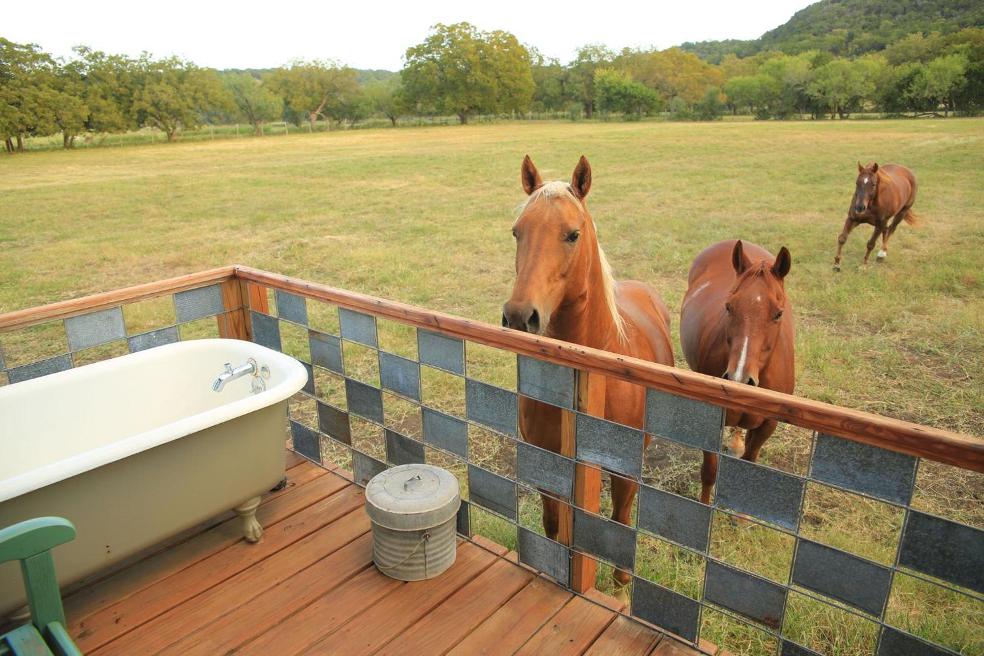 Montesino Ranch Lodging Villa Уимбърли Екстериор снимка